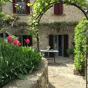 Apartment Garden